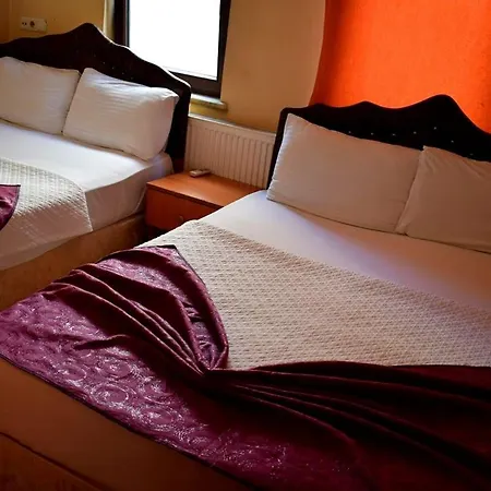 Asya Hotel *