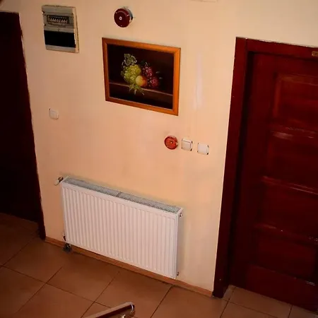 Asya Konya